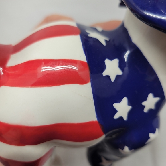 Patriotic Cat - Picture 10 of 13